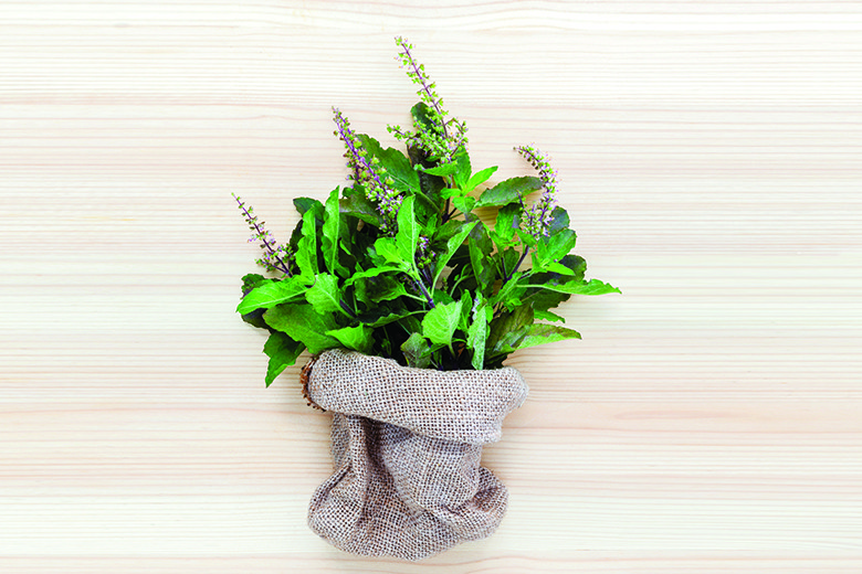 Food & Nutrition | September-October 2017 | Exploring Adaptogenic Herbs
