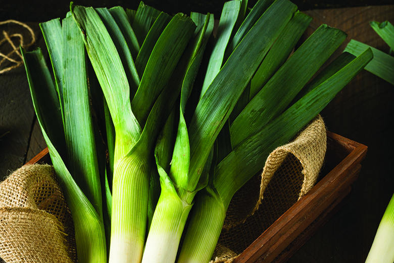 Food & Nutrition | September-October 2017 | Leeks