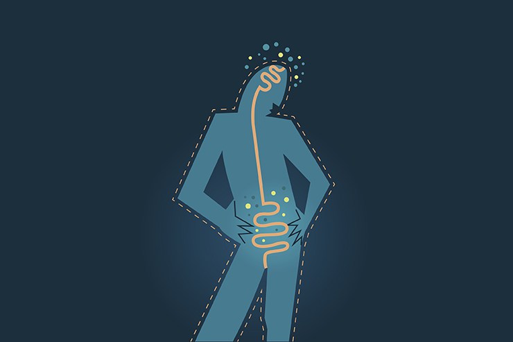 Exploring the Gut-Brain Axis | Food & Nutrition | January February 2018 digestive system and intestinal flora abstract