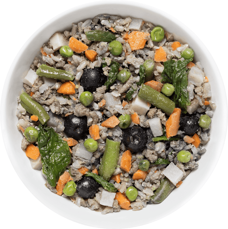 Happy Howl Healthy Top-Down Dog Bowl