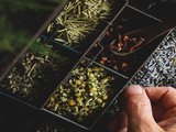 Mountain Rose Herbs Organic Botanicals & Apothecary